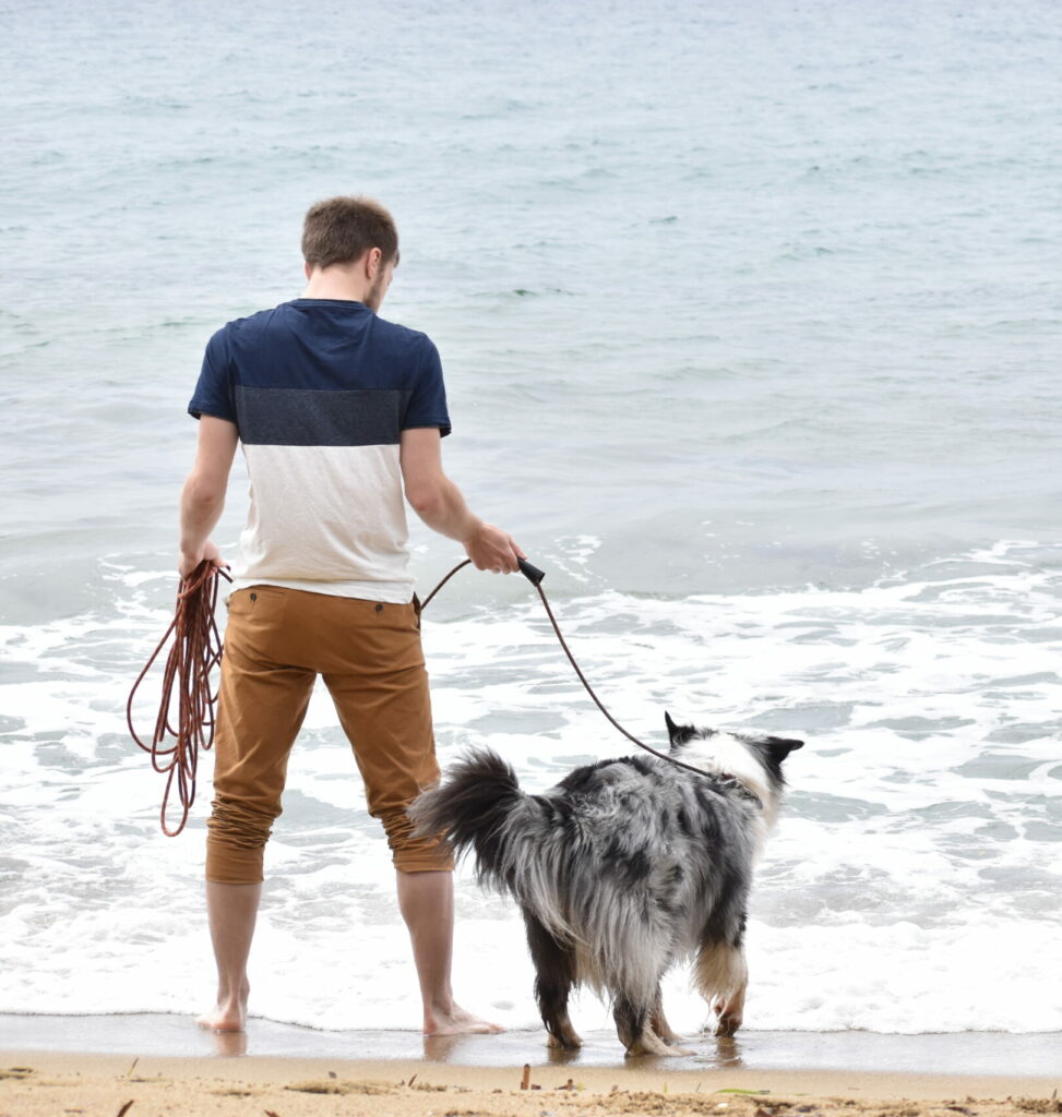 Education de chiens, coach éducateur canin, ouest parisien, yvelines, essonne, hauts de seine