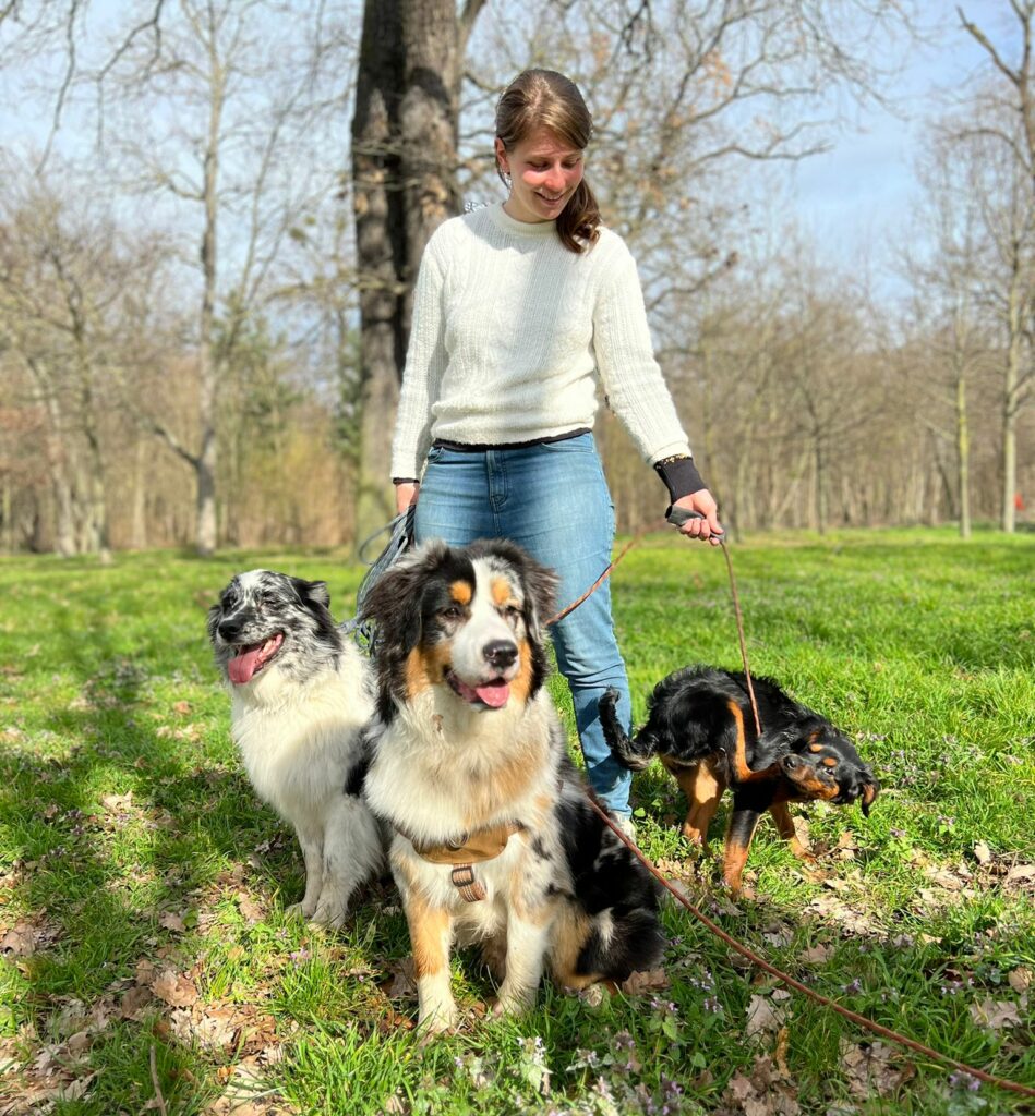 Chiens en forêt, éducatrice canine, Ile de France 91 92 78